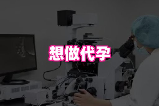 国际助孕网站 1