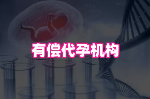 国际助孕网站 3