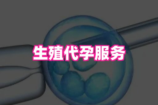 国际助孕网站 4